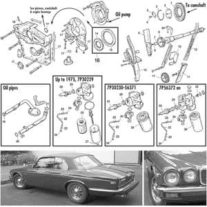 Olie filters & koeling - Jaguar XJ6-12 / Daimler Sovereign, D6 1968-'92 - Jaguar-Daimler reserveonderdelen - XJ12 timing, pump & filters