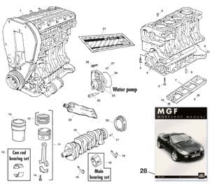 Motor extern - MGF-TF 1996-2005 - MG reserveonderdelen - Engine, pistons & crankshaft