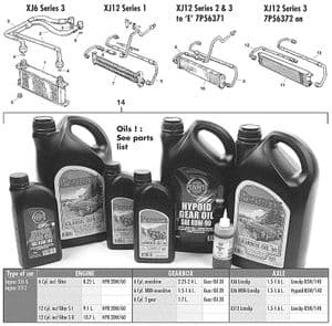 Olie filters & koeling - Jaguar XJ6-12 / Daimler Sovereign, D6 1968-'92 - Jaguar-Daimler reserveonderdelen - Oil cooler