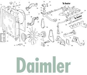 Radiators Daimler - Jaguar MKII, 240-340 / Daimler V8 1959-'69 - Jaguar-Daimler reserveonderdelen - Daimler cooling system