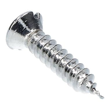 SCREW-H/LAMP RIM-CHROME PLATED | Webshop Anglo Parts