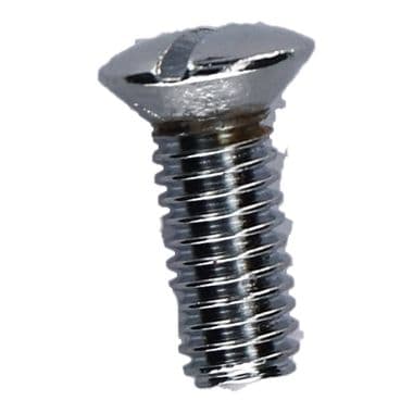 DOORLOCK COVER SCREW-POLISHED | Webshop Anglo Parts