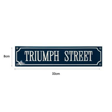 TRIUMPH STREET EMAILLE 33X8 | Webshop Anglo Parts