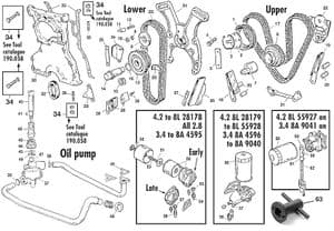 XJ6 timing, pumps & filters | Webshop Anglo Parts